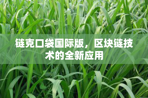 区块链技术的全新应用图片
