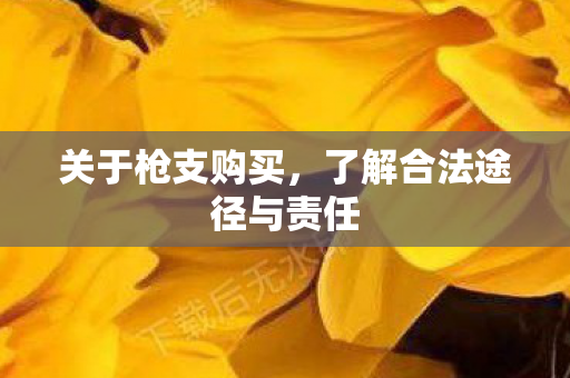 了解合法途径与责任图片