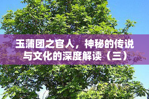 神秘的传说与文化的深度解读图片