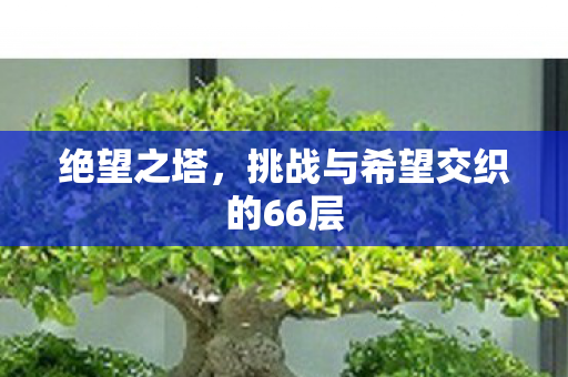 挑战与希望交织的66层图片