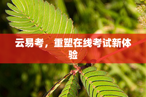 重塑在线考试新体验图片