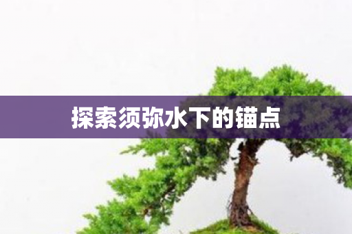 探索须弥水下的锚点图片