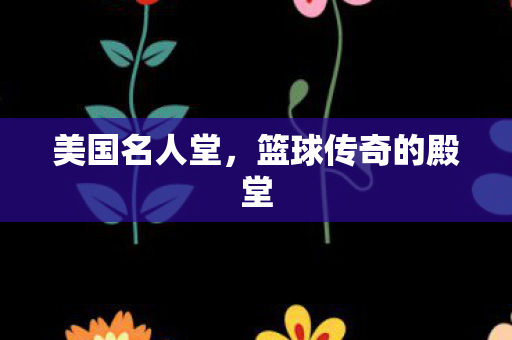 篮球传奇的殿堂图片
