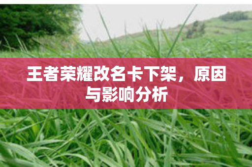 王者荣耀改名卡下架图片