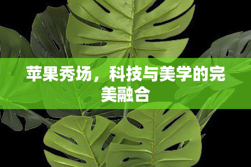 科技与美学的完美融合图片