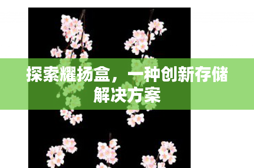 一种创新存储解决方案图片