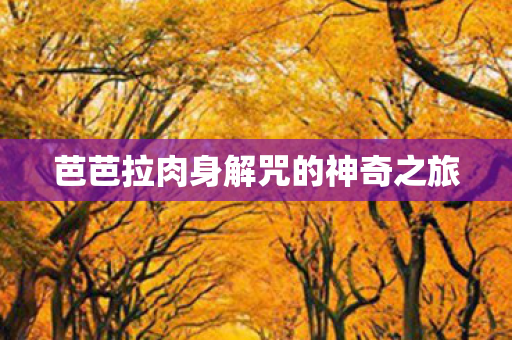 芭芭拉肉身解咒的神奇之旅图片