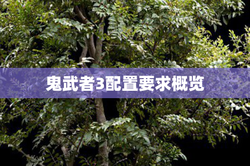 鬼武者3配置要求概览图片