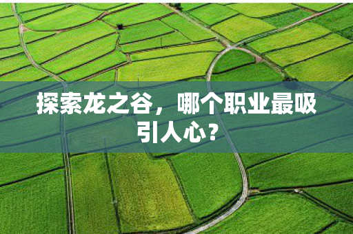 哪个职业最吸引人心图片