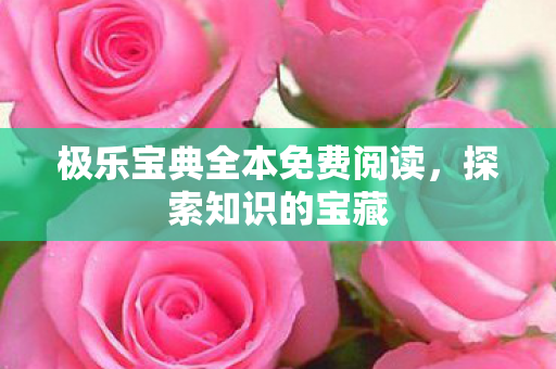 极乐宝典全本免费阅读图片