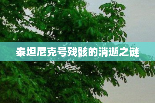 泰坦尼克号残骸的消逝之谜图片