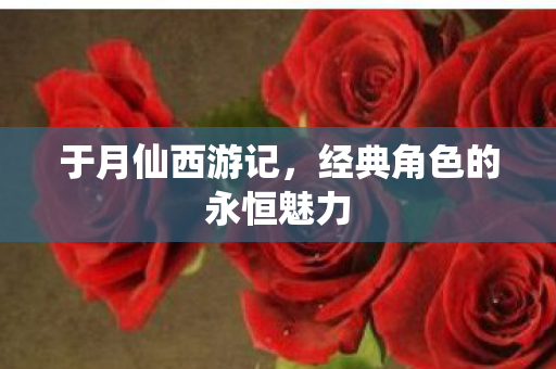 经典角色的永恒魅力图片