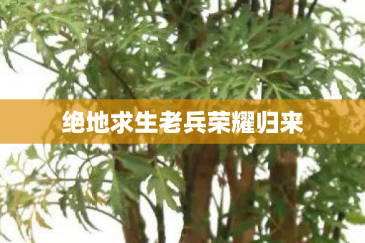 绝地求生老兵荣耀归来图片