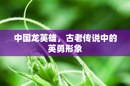 古老传说中的英勇形象图片
