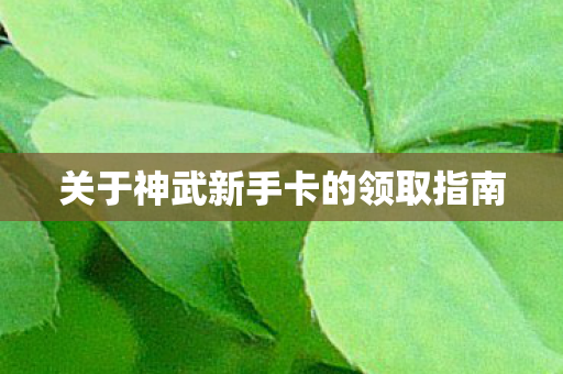 关于神武新手卡的领取指南图片