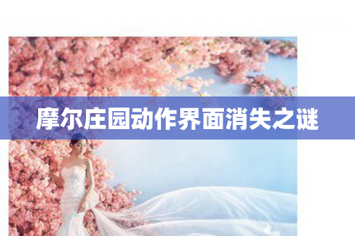 摩尔庄园动作界面消失之谜图片