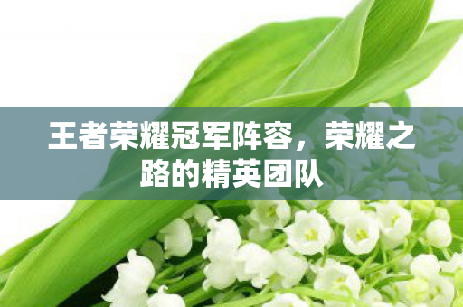 荣耀之路的精英团队图片