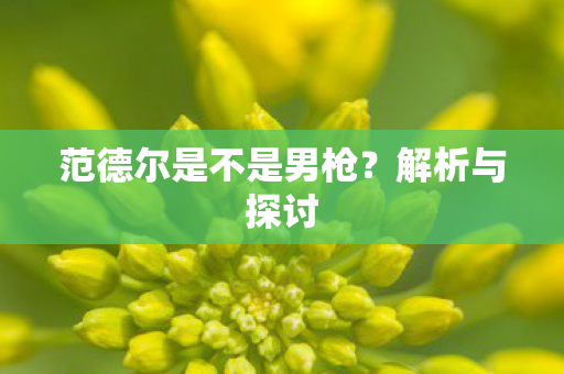 范德尔是不是男枪图片