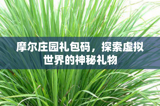 探索虚拟世界的神秘礼物图片