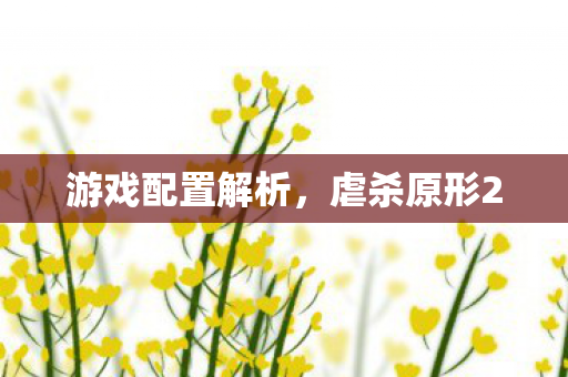 游戏配置解析图片