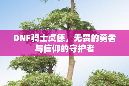 无畏的勇者与信仰的守护者图片