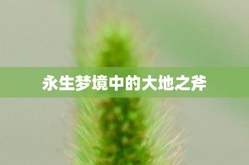 永生梦境中的大地之斧图片
