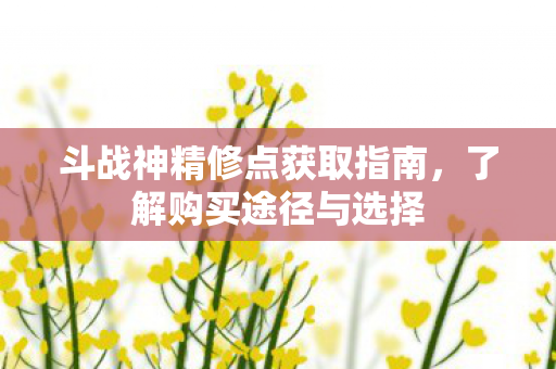 斗战神精修点获取指南图片
