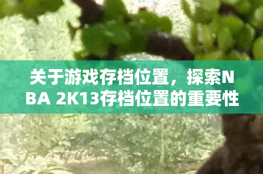 探索NBA 2K13存档位置的重要性图片