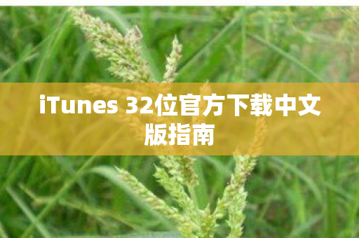 iTunes 32位官方下载中文版指南图片