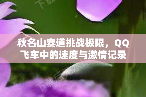 QQ飞车中的速度与激情记录图片