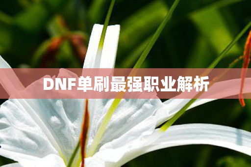 DNF单刷最强职业解析图片