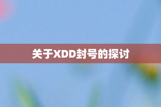 关于XDD封号的探讨图片
