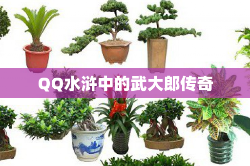 QQ水浒中的武大郎传奇图片