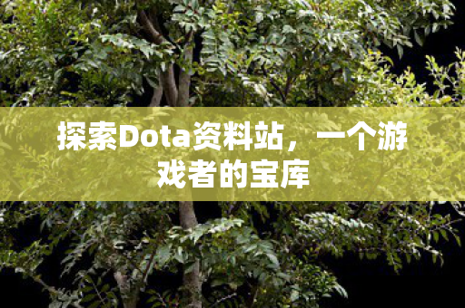 探索Dota资料站图片
