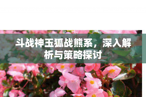 深入解析与策略探讨图片