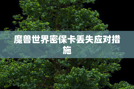 魔兽世界密保卡丢失应对措施图片
