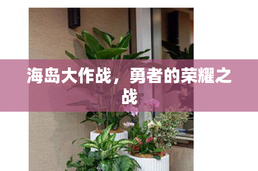 勇者的荣耀之战图片