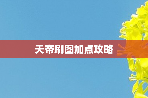 天帝刷图加点攻略图片
