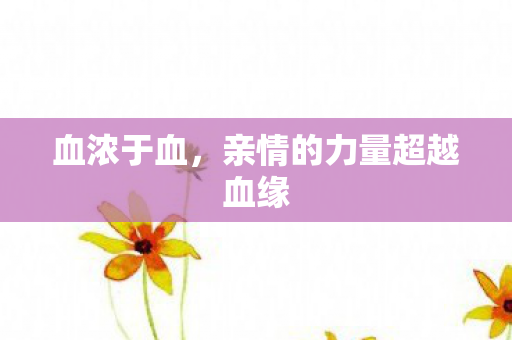 亲情的力量超越血缘图片