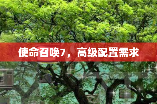 高级配置需求图片