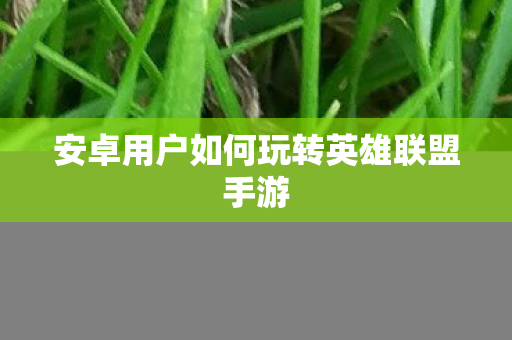 安卓用户如何玩转英雄联盟手游图片