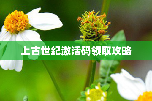 上古世纪激活码领取攻略图片