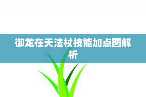 御龙在天法杖技能加点图解析图片