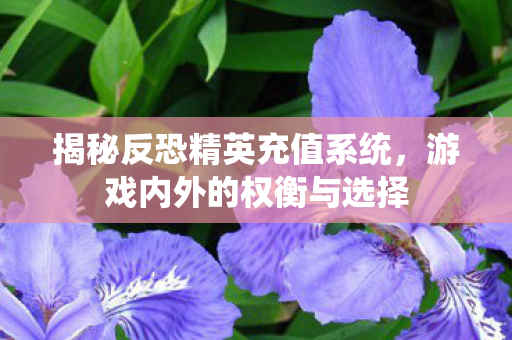 揭秘反恐精英充值系统图片