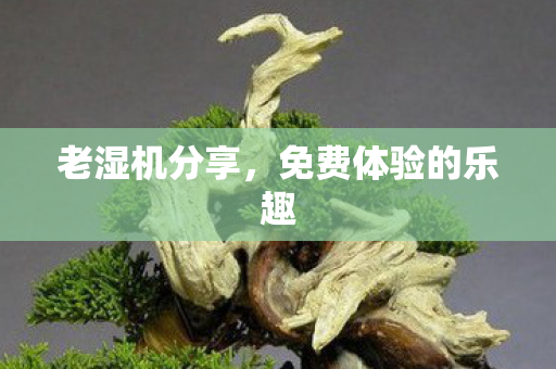 免费体验的乐趣图片