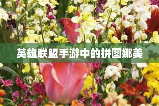 英雄联盟手游中的拼图娜美图片