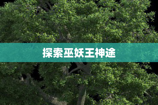 探索巫妖王神途图片