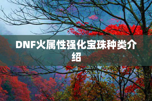 DNF火属性强化宝珠种类介绍图片