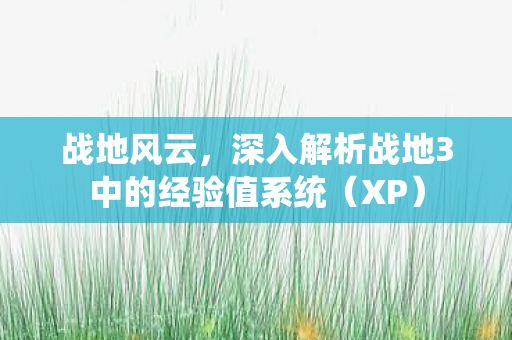 深入解析战地3中的经验值系统图片