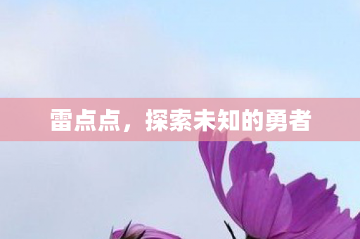 探索未知的勇者图片